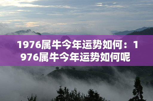 1976属牛今年运势如何：1976属牛今年运势如何呢 