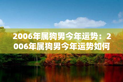 2006年属狗男今年运势：2006年属狗男今年运势如何 