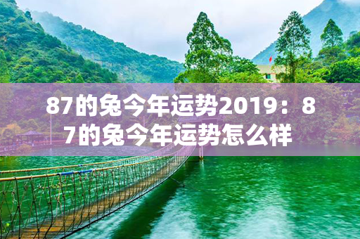 87的兔今年运势2019：87的兔今年运势怎么样 