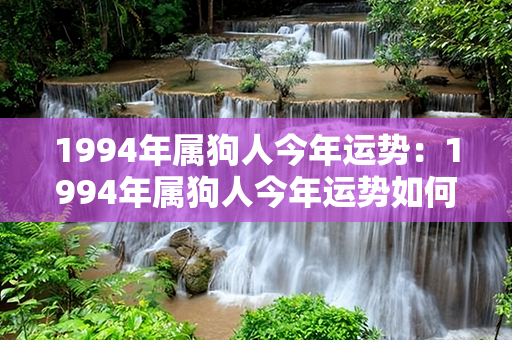 1994年属狗人今年运势：1994年属狗人今年运势如何 