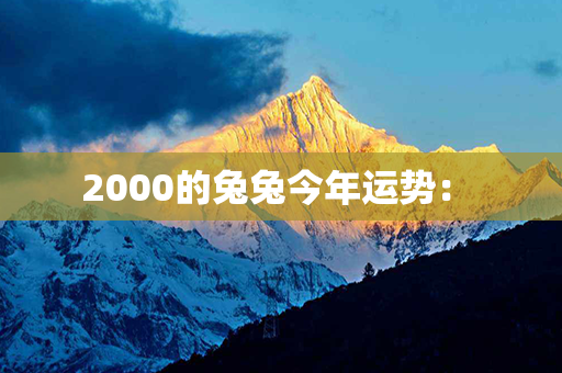 2000的兔兔今年运势： 