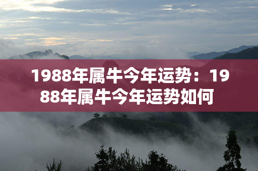 1988年属牛今年运势：1988年属牛今年运势如何 