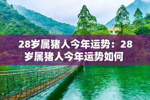 28岁属猪人今年运势：28岁属猪人今年运势如何 