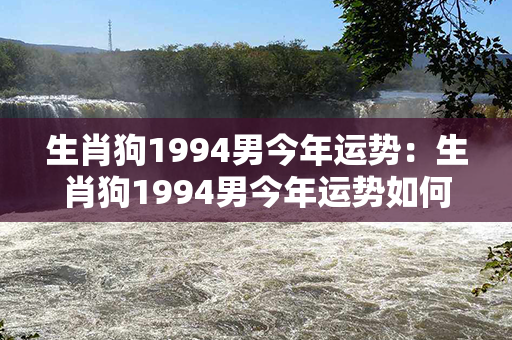 生肖狗1994男今年运势：生肖狗1994男今年运势如何 