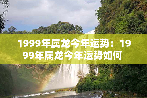 1999年属龙今年运势：1999年属龙今年运势如何 