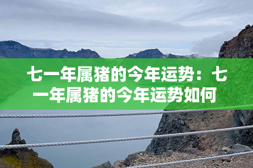 七一年属猪的今年运势：七一年属猪的今年运势如何 