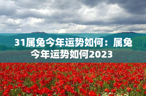 31属兔今年运势如何：属兔今年运势如何2023 