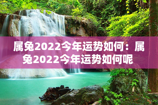 属兔2022今年运势如何：属兔2022今年运势如何呢 