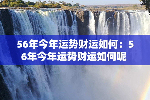 56年今年运势财运如何：56年今年运势财运如何呢 