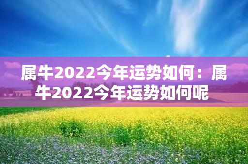 属牛2022今年运势如何：属牛2022今年运势如何呢 