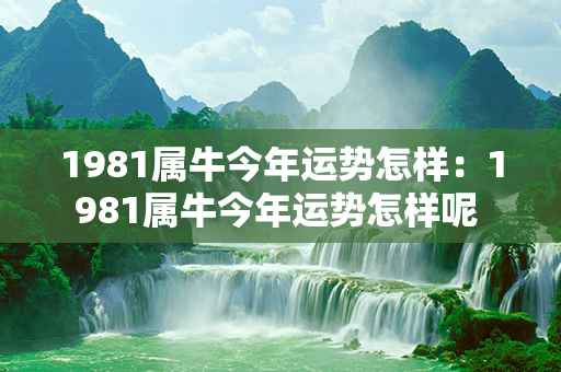 1981属牛今年运势怎样：1981属牛今年运势怎样呢 