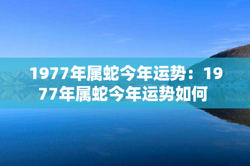 1977年属蛇今年运势：1977年属蛇今年运势如何 