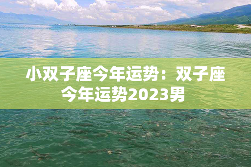 小双子座今年运势：双子座今年运势2023男 