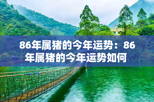 86年属猪的今年运势：86年属猪的今年运势如何 