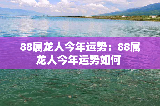 88属龙人今年运势：88属龙人今年运势如何 