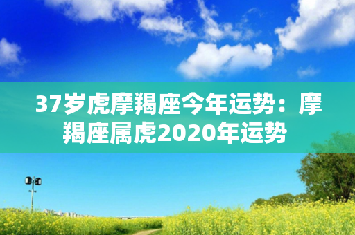 37岁虎摩羯座今年运势：摩羯座属虎2020年运势 