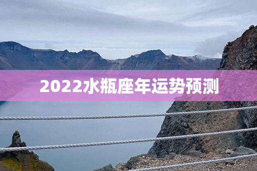 2022水瓶座年运势预测