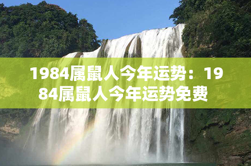 1984属鼠人今年运势：1984属鼠人今年运势免费 