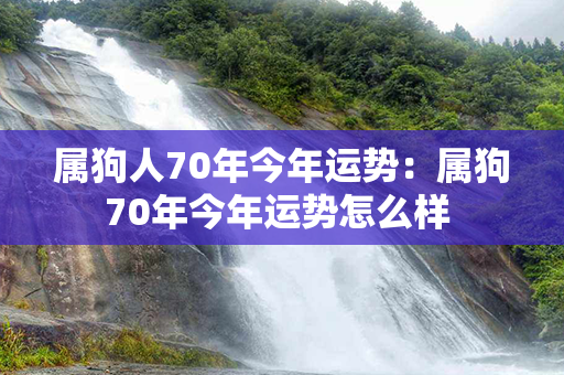 属狗人70年今年运势：属狗70年今年运势怎么样 