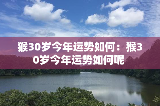 猴30岁今年运势如何：猴30岁今年运势如何呢 