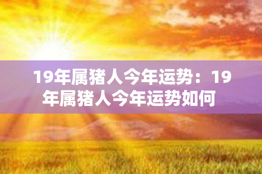 19年属猪人今年运势：19年属猪人今年运势如何 