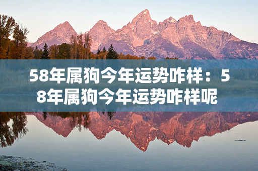 58年属狗今年运势咋样：58年属狗今年运势咋样呢 