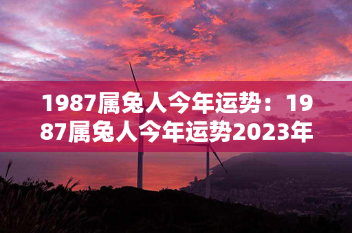 1987属兔人今年运势：1987属兔人今年运势2023年每月运势 