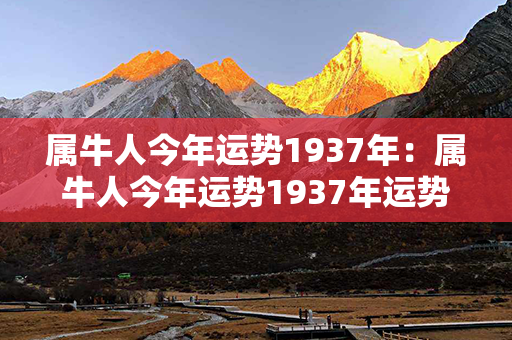 属牛人今年运势1937年：属牛人今年运势1937年运势如何 