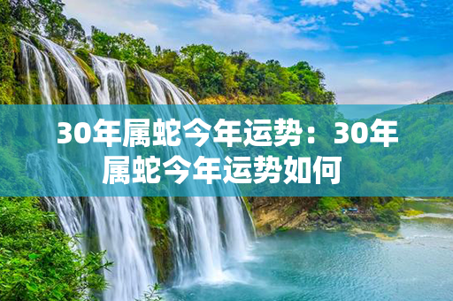 30年属蛇今年运势：30年属蛇今年运势如何 