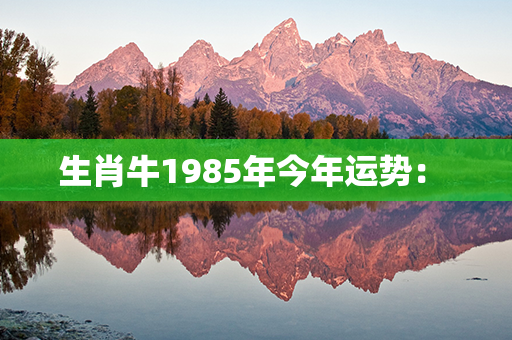 生肖牛1985年今年运势： 