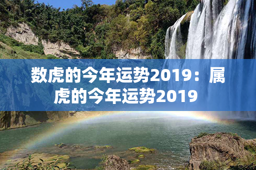 数虎的今年运势2019：属虎的今年运势2019 