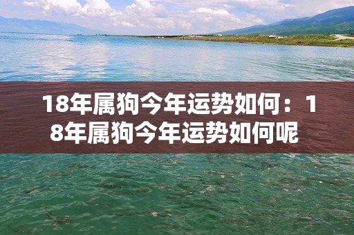 18年属狗今年运势如何：18年属狗今年运势如何呢 