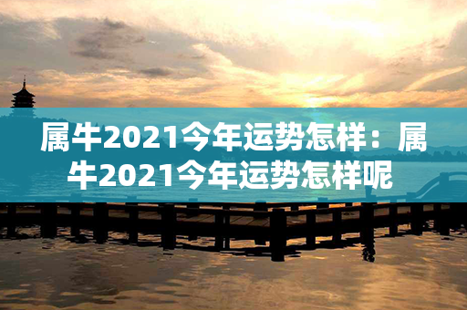 属牛2021今年运势怎样：属牛2021今年运势怎样呢 