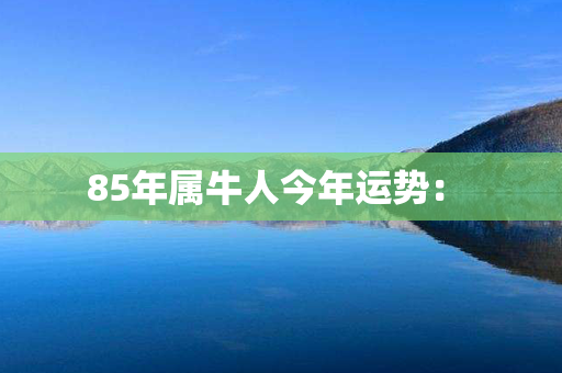 85年属牛人今年运势： 