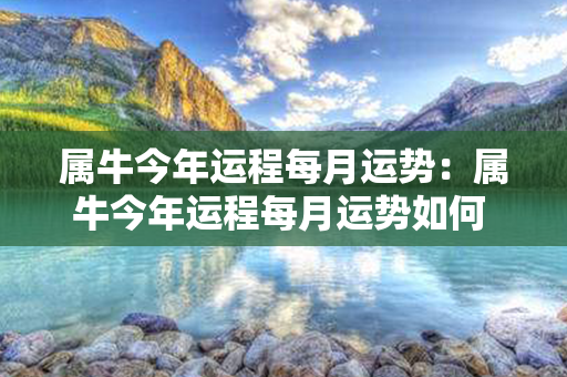 属牛今年运程每月运势：属牛今年运程每月运势如何 