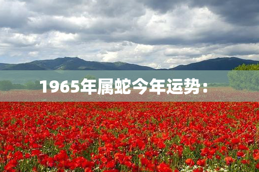 1965年属蛇今年运势： 