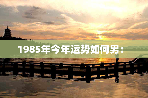 1985年今年运势如何男： 