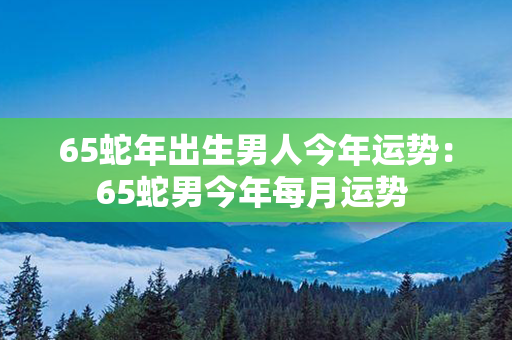 65蛇年出生男人今年运势：65蛇男今年每月运势 