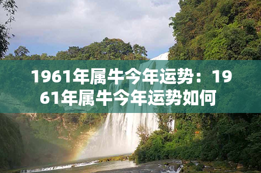 1961年属牛今年运势：1961年属牛今年运势如何 