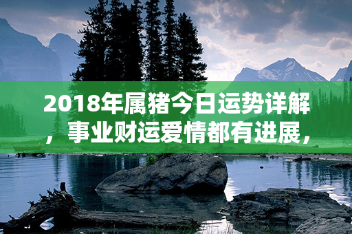 2018年属猪今日运势详解，事业财运爱情都有进展，幸运之星正照耀