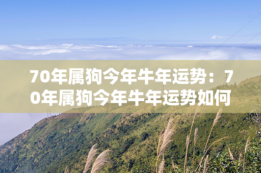 70年属狗今年牛年运势：70年属狗今年牛年运势如何 