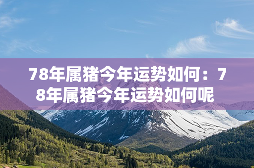 78年属猪今年运势如何：78年属猪今年运势如何呢 