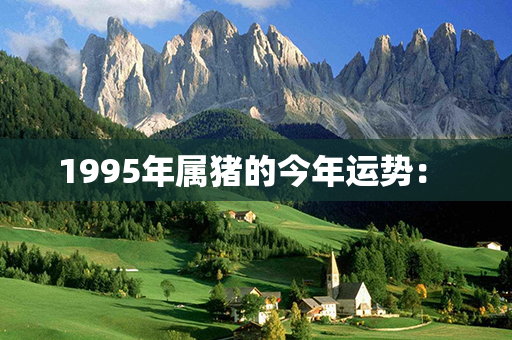 1995年属猪的今年运势： 