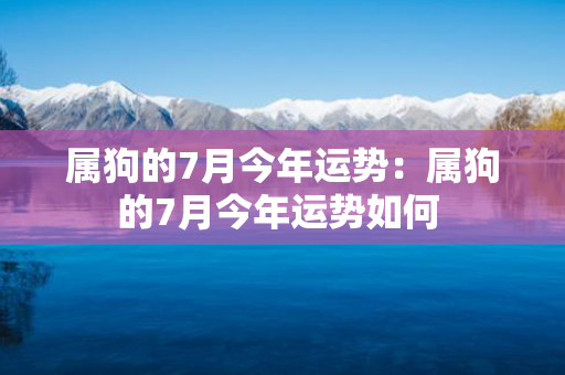 属狗的7月今年运势：属狗的7月今年运势如何 