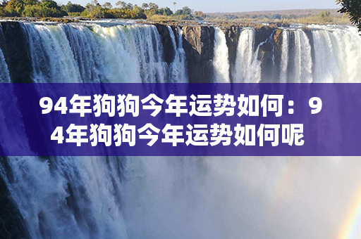 94年狗狗今年运势如何：94年狗狗今年运势如何呢 