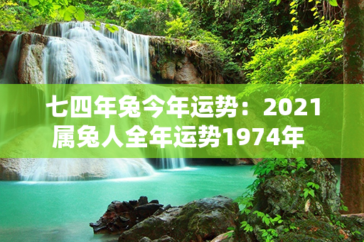 七四年兔今年运势：2021属兔人全年运势1974年 