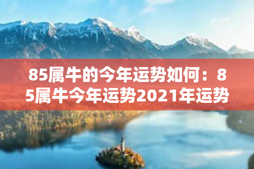 85属牛的今年运势如何：85属牛今年运势2021年运势 