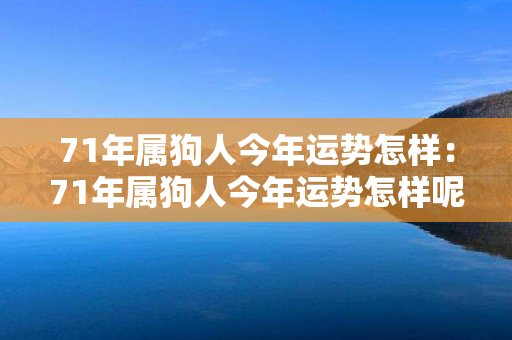 71年属狗人今年运势怎样：71年属狗人今年运势怎样呢 