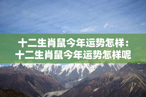 十二生肖鼠今年运势怎样：十二生肖鼠今年运势怎样呢 