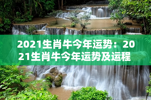 2021生肖牛今年运势：2021生肖牛今年运势及运程 